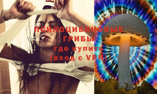 тгк Медногорск