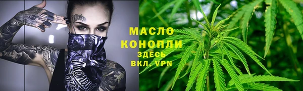 тгк Медногорск