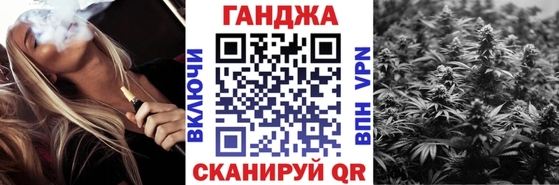 Конопля марихуана  Дмитриев 